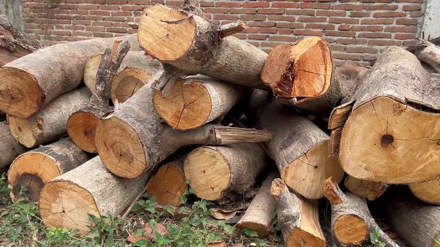 Close Up of Raw Wooden Logs Stack showing Annual Rings