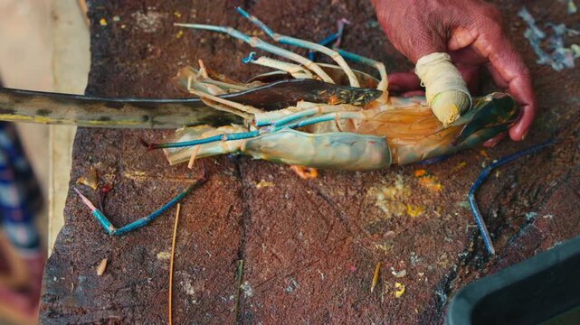 Cutting process of giant freshwater Rosenberg shrimp lat. Macrobrachium rosenbergii at fish market, seafood cutting process slow motion.