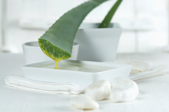Sliced Aloe vera leaf and bowls