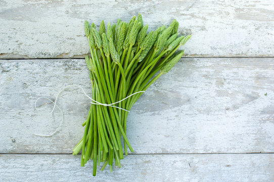 Wild asparagus on wood