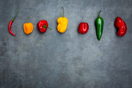Row of various chili pods on grey background