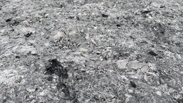 Natural wood ash and burnt charcoal powder texture