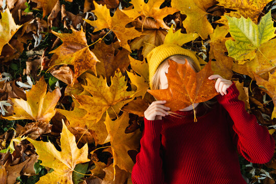 Girl is hiding her face with an autumn leaf outdoors