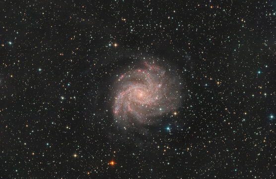 The Fireworks Galaxy NGC6946 glows in the constellation of Cepheus