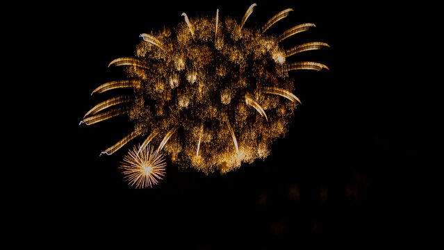 Fuegos artificiales
