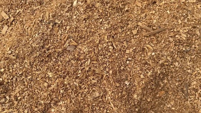 Coarse wood chips and industrial sawdust texture