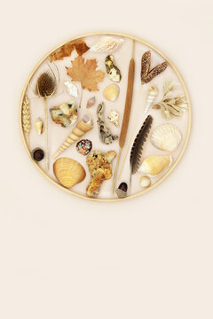 Abstract natural nature objects zen background on beige, wooden frame. Neutral tones with flora, seashells, feathers, driftwood, rocks. Circular design.