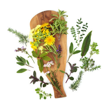 Herb and flower ingredients for healthy eating on olive wood board on white background. Preparation of fresh food of garden herbs and spring flowers. 