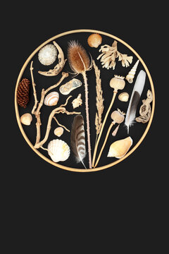 Circular zen design wooden frame with natural nature objects of flora, seashells, driftwood, feathers on dark gray background. Logo, greeting card.