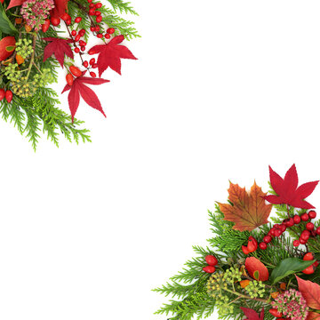 Autumn Fall season red maple leaves, berry fruit border on white background. Seasonal nature symbols warm vivid colors, Celtic Samhain festival floral arrangement.