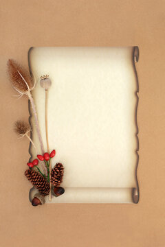 Autumn zen floral art old fashioned  paper scroll background border with rosehip berry fruit, pine cone, acorns, thistle, poppy seed head. On natural brown paper.