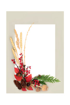 Autumn season design red berries, leaves, grasses background border on white gray frame. Vivid Fall leaf colors, berry fruit, seasonal warm hues.
