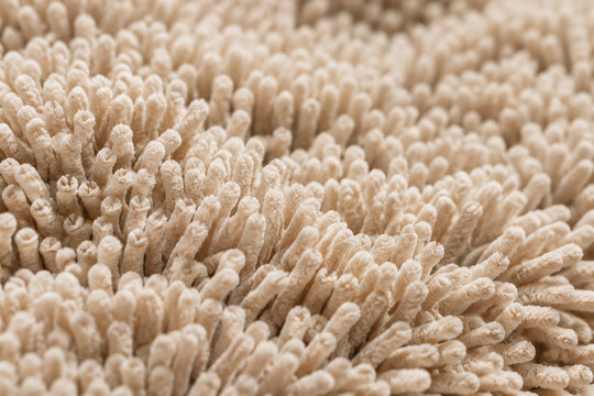 Close-up view of dense surface covered in tiny finger-like coral structures, neutral beige tones.