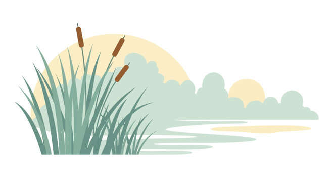Cattail reeds by a misty lake at sunrise, serene nature landscape illustration