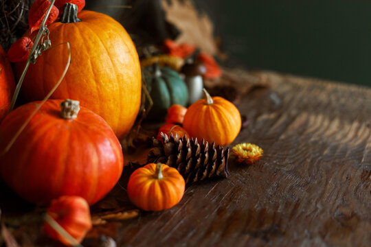 Happy Thanksgiving. Pumpkins, autumn leaves, nuts, berries, pine cones on old wooden table with copy space. Atmospheric autumn still life. Fall season banner or card