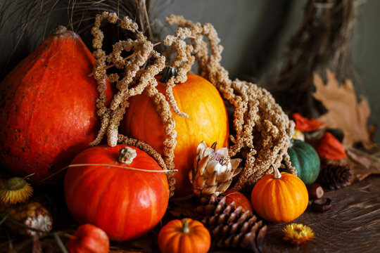 Atmospheric autumn still life. Happy Thanksgiving. Pumpkins, autumn leaves, nuts, berries, pine cones on old wooden table.Fall season banner or card