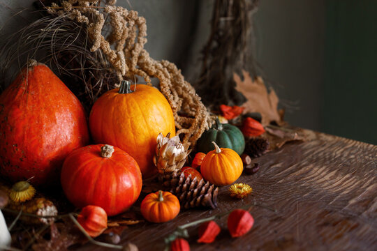 Autumn still life. Colorful pumpkins, autumn leaves, acorns, pine cones and berries on rustic wooden table on moody dark background. Happy Thanksgiving and harvest. Fall season greeting card