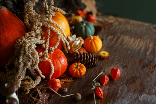 Pumpkins, autumn leaves, nuts, berries, pine cones on old wooden table on moody dark background. Happy Thanksgiving. Atmospheric autumn still life. Harvest. Fall season banner