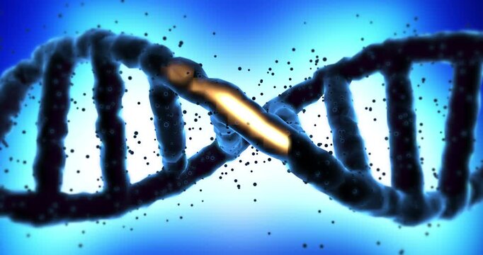 Medical science concept showing 3d rotating dna helix with glowing orange damage. Science and Medical Concept.