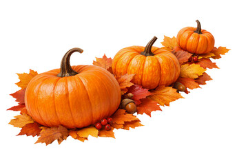 Autumn pumpkins on maple leaves isolated PNG, three orange pumpkins with acorns on transparent background, thanksgiving harvest decoration © Bright Stock