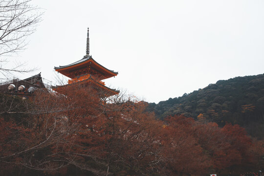 Kiyomizudera, literally, Pure Water Temple, is one of the most celebrated Buddhist temples of Japan. It was founded in 780. Japan January 05TH 2010.