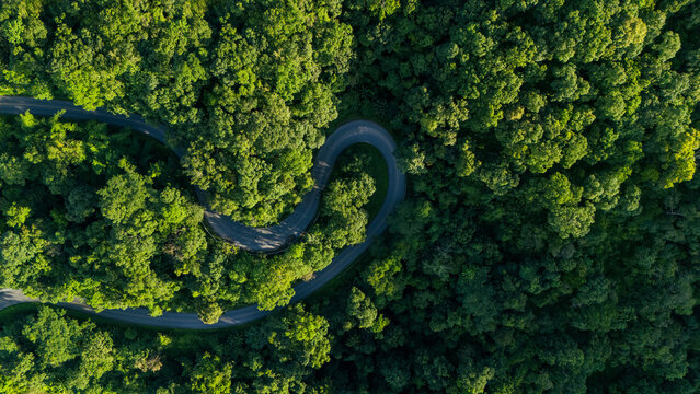 Aerial top-down view of a lush green forest, concept for sustainable transportation and ESG environment, net zero emissions, eco-friendly tourism, and green logistics.
