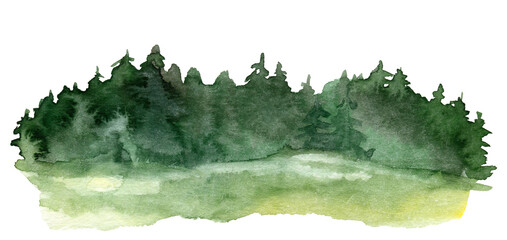 Obraz premium Watercolor green forest edge with fir trees over a bright summer meadow