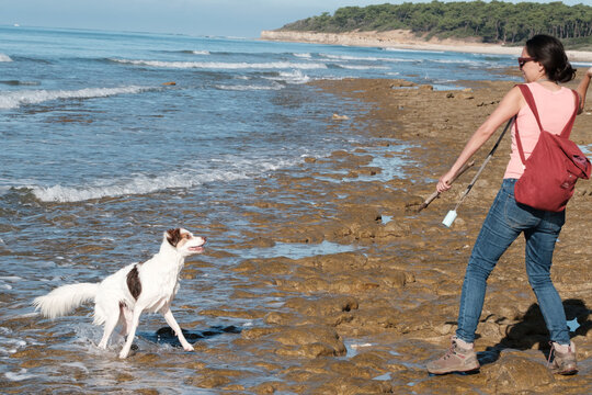 Girl and her dog playing on the beach wioth a stick