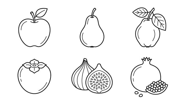 Minimalist fruit line art icons on white background.