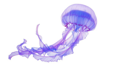 Translucent purple jellyfish with flowing tentacles, isolated on transparent background © iPNGi