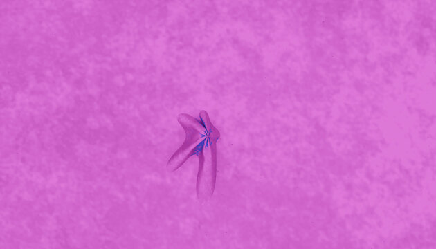 Starfish with three arms on pink textured sea floor