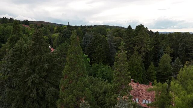 Aerial view of a red tile roof hidden among dense green forest, with tall evergreen trees and cloudy sky over a peaceful hillside landscape.