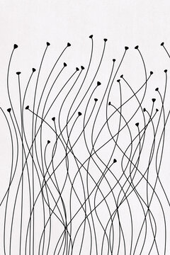 Illustration of thin Black curved lines resembling plant stems