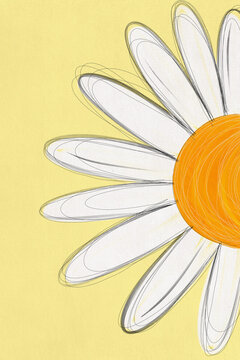 Illustration of daisy flower with white petals and yellow center