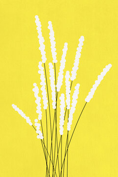 White elongated floral stems on bright yellow background