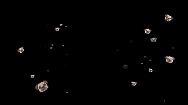pug, pug dog, dog emoji, puppy, pet, dog face, canine, animal, cute, funny, emoticon, 3d icon, motion graphics, particles, floating, burst, loop, dark background, black background, black isolated, ren