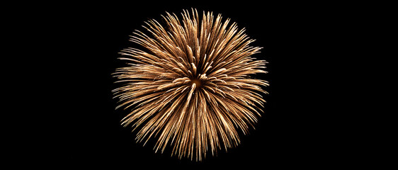 Obraz premium Golden firework burst isolated on a black background. Explosion with sparkling glitter light rays. Single glowing pyrotechnic explosion for celebration and New Year events.