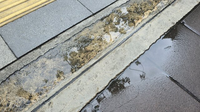 Water puddle on old concrete sidewalk and wet pavement. Artistic weathered concrete surface with dark moss and reflective puddle for creative layouts.