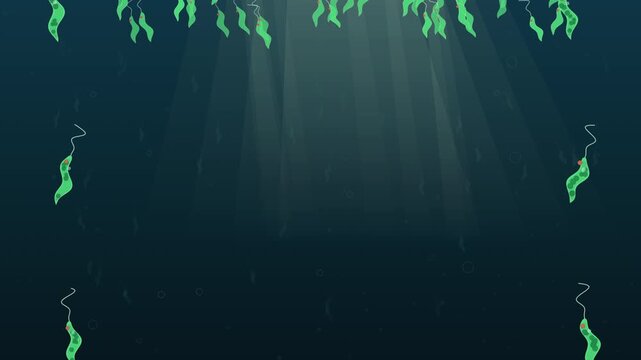 Euglena swimming toward a beam of light seamless loop