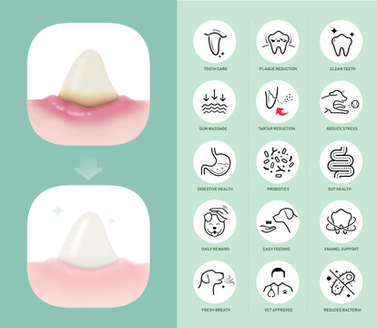 Dog's tooth and gum mockup before and after dental care with dog dental care icon set. The outline icons are well scalable and editable. Contrasting elements are good for different backgrounds. EPS10.