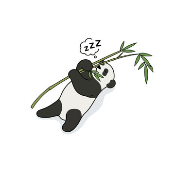 Cute panda bear sleeping while holding bamboo stalk