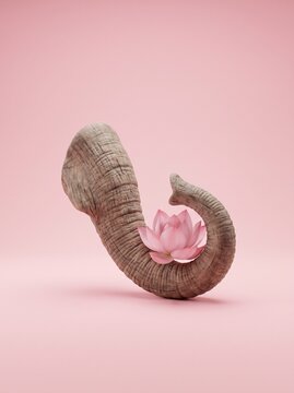 God ganesha