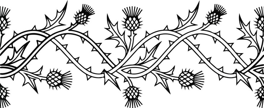 Outline Thorny Thistle Vine Line Art Seamless Border Vector Clipart