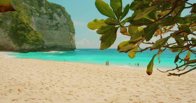 Wide tropical beach with ocean waves at Kelingking Beach Bali Nusa Penida