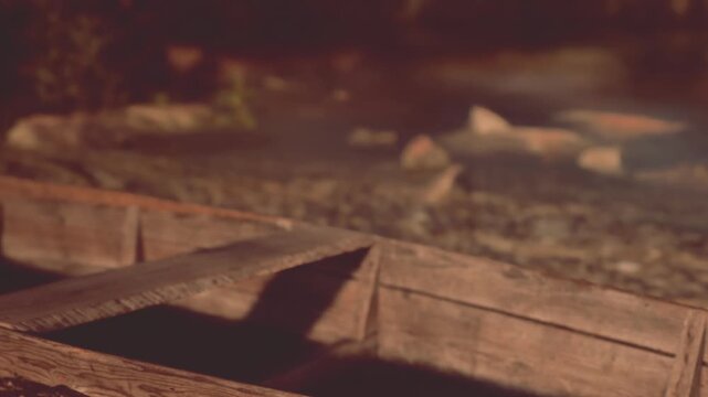 A wooden boat sits at the riverbank as the sun sets, casting warm colors. Surrounding nature includes bushes and rocks, creating a simple scene of a quiet moment.