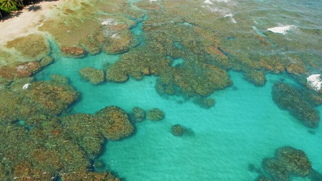 Colorful coral heads near sandy Playa Cocles Costa Rica at sunny low tide