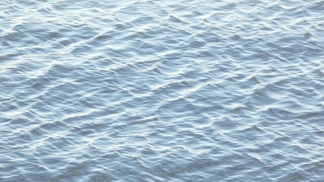 Footage reflecting the surface of Tokyo Bay in Koto Ward, Tokyo.