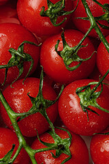 Close-up of fresh juicy cherry tomatoes on the vine, showcasing their vibrant red color, glossy skin, and natural freshness © Liana
