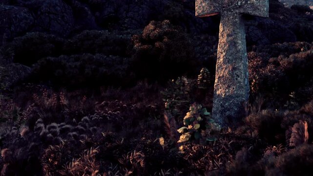 A stone cross stands in a rocky area surrounded by various plants as the sun sets. Shadows form from the rocks and foliage, creating a distinct atmosphere at this time of day.