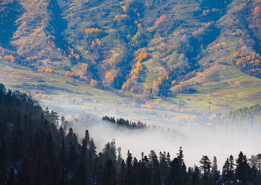 Panoramic view of Savsat highlands on a beautiful autumn day - Scenic image of forest landscape at sunny day - Autumn colorful landscape with colorful tree - Savsat, Artvin